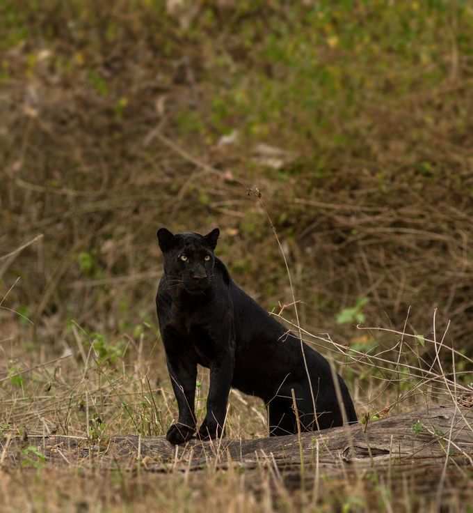 ನನ್‌ ಫೋಟೋ ಕ್ಲಿಕ್‌ ಮಾಡ್ತಿದ್ದೀರಾ?