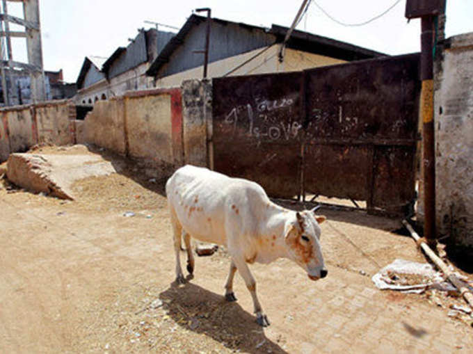 गाय की आवाज सुनाई देना