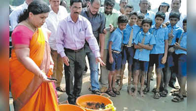 ಸಾಗರ ಒಡಲಿಗೆ ಆಮೆ ಮರಿಗಳು