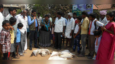 ಪೆಲಿಕಾನ್‌ ಸರಣಿ ಸಾವು ಖಂಡಿಸಿ ಪ್ರತಿಭಟನೆ