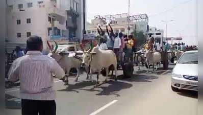 డీఎంకే ఎడ్ల బండి నిరసనల్లో విషాదం