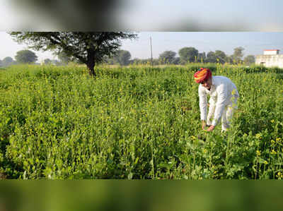 மானியத்திற்கு
ஆப்பு வைக்கிறதா மத்திய அரசு? விவசாயிகளுக்கு என்ன பலன்?