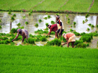 बजट: दोगुनी आय के लिए किसानों को 2022 तक करना होगा इंतजार