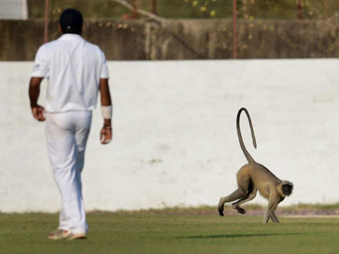 मैं भी देखूंगा मैच, क्‍या कर लोगे!