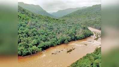 ‘ಅಘನಾಶಿನಿ’ಗೆ ಅಂತಾರಾಷ್ಟ್ರೀಯ ಪ್ರಶಸ್ತಿ