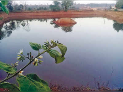 ಅಂದು ಪಾಳು ... ಇಂದು ಫುಲ್‌ ನೀರು