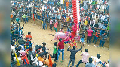 ಇದ್ರ ಇರಬೇಕ ಇಂಥಾ ಹೋರಿ..