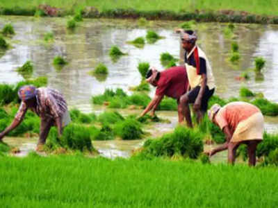 कर्जमाफीचा जिल्ह्यातील शेतकऱ्यांना फायदा