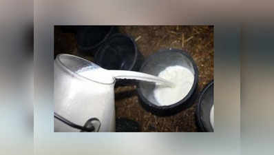 200 लीटर दूध से तैयार करते थे 2500 लीटर मिलावटी दूध