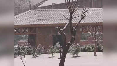 कश्मीर में ताजा बर्फबारी, हिमाचल में भी बिछी बर्फ की सफेद चादर
