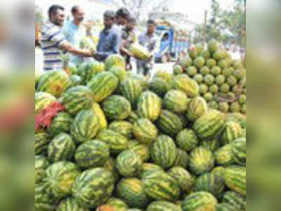 ಮಲೆನಾಡಿಗೆ ದಾಂಗುಡಿ ಇಟ್ಟ ತಮಿಳುನಾಡು ಕಲ್ಲಂಗಡಿ