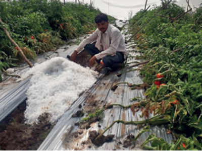 अन्नदात्यावर अस्मानी संकट