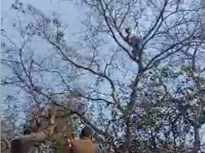 लखनऊः कर्जमाफी से परेशान किसान CM आवास के सामने पेड़ पर चढ़ा, दी आत्महत्या की धमकी