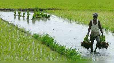 ಸಿದ್ದರಾಮಯ್ಯ ಬಜೆಟ್‌ನಲ್ಲಿ ರೈತರಿಗೆ ಬಂಪರ್