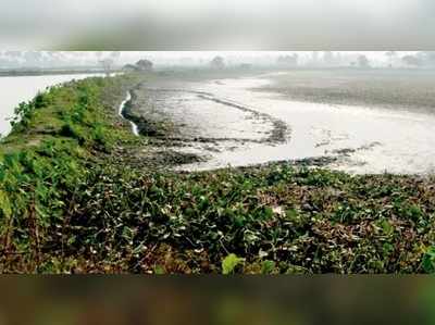 পূর্ব কলকাতা জলাভূমির ধর্মযোদ্ধা ছিলেন তিনি