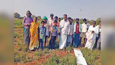 ಬರ್ರೋ, ಬೇಗ... ರಾಗಿ ಹೊಲ್ದಾಗೆ ಬಿಳೀ ಇಮಾನ್ ಬಿದ್ದೈತೆ!