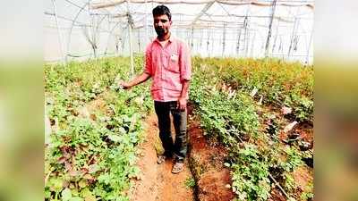 ಗುಲಾಬಿಯಿಂದ ಗಟ್ಟಿಯಾದ ಶಂಕರಪ್ಪ ಗುದಗಿ