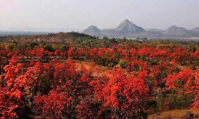 বসন্ত-বার্তা