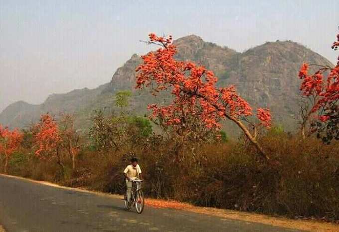 বসন্ত-বার্তা