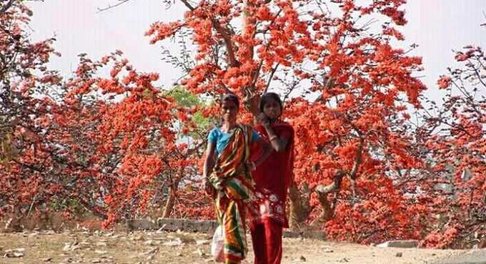 বসন্ত-বার্তা