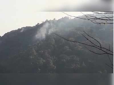 ಚಾರ್ಮಾಡಿ ಘಾಟ್‌ನಲ್ಲಿ ಕಾಡ್ಗಿಚ್ಚು