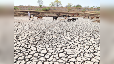 या आठच गावांना मिळणार दुष्काळी सवलत