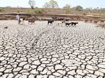 या आठच गावांना मिळणार दुष्काळी सवलत