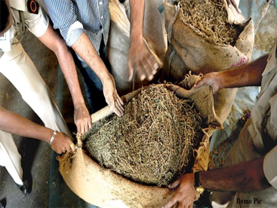 गोंदियात पकडला दोन लाखांचा गांजा