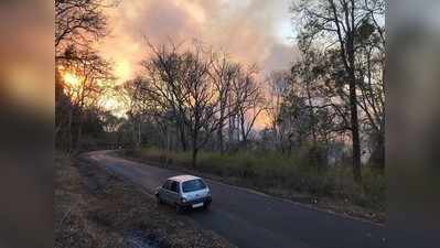 ದುಬಾರೆ, ಮಾಲ್ದಾರೆ ಕಾಡಿನಲ್ಲಿ ಬೆಂಕಿ