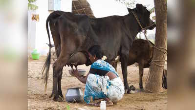 ಸುಗುಣವೂ, ಸಾಕಾರವೂ ಆಗಿರಲಿ ಹೈನುಗಾರಿಕೆ