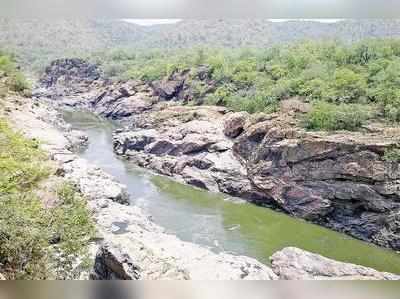 ರಾಮನಗರದಲ್ಲಿ ಮೇಕೆದಾಟು ಕನಸು