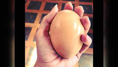 पोल्ट्री फार्म में मुर्गी ने दिया 176 ग्राम का अंडा, फोड़ने पर अंदर निकला एक और अंडा