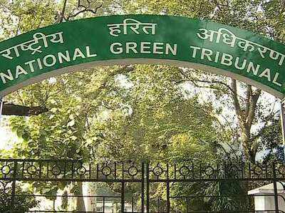 NGT ने दिल्ली जल बोर्ड को लगाई फटकार, कहा- सीवर लाइन बन गई है यमुना, आपने क्या किया?