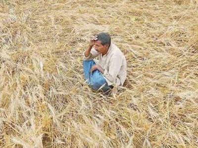 महाराष्‍ट्र में महंगाई बढ़ने के आसार, कृषि पैदावार में गिरावट