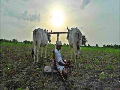 कर्जमाफीची ४२० लाभार्थ्यांची यादी जाहीर