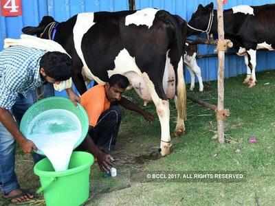 ಶಿಶುಗೀತೆ: ಗೌರಿ ಹಾಲು ಕೊಟ್ಟಳು