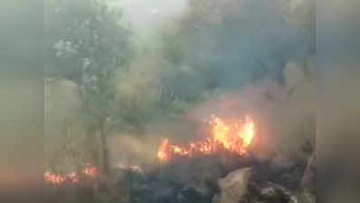 तमिलनाडु: जंगल की आग में फंसे ट्रेकिंग के लिए गए 20 स्टूडेंट्स, 4 की मौत, रेस्क्यू में जुटी वायु सेना