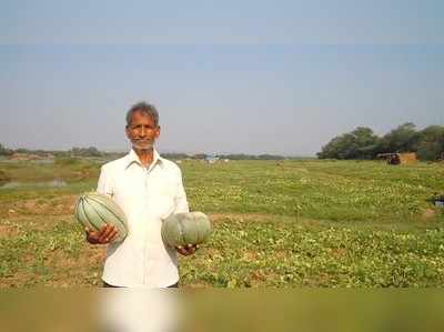 ದೇಸಿ ಸವಿಯ ಹೊನ್ನಾಳಿ ಮೆಲನ್‌