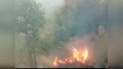तमिलनाडु: कुरांगनी जंगल में लगी आग में अब तक 11 की मौत
