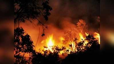 केरल: दो जगह जंगलों में लगी आग, कोई नुकसान नहीं