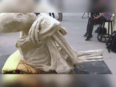 వింత జీవి అస్థికలు, అది గ్రహాంతరవాసా? వింత జీవి అస్థికలు, అది గ్రహాంతరవాసా?