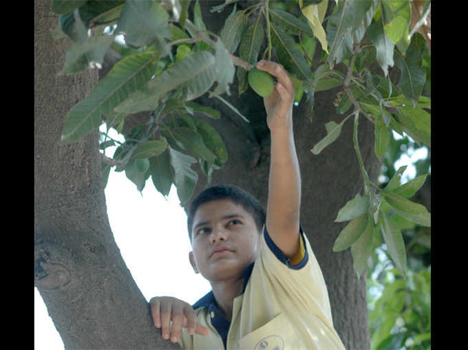 मजबूत प्रतिरक्षा तंत्र