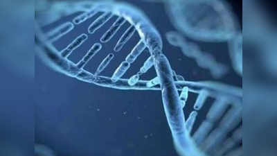 तिसरं मूल कोणाचं? महिला सरपंचांची DNA टेस्ट