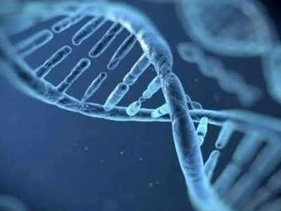 तिसरं मूल कोणाचं? महिला सरपंचांची DNA टेस्ट