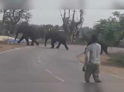 ಅಂಗನವಾಡಿ ಕಟ್ಟಡದ ಮೇಲೆ ದಾಳಿ ನಡೆಸಿದ ಕಾಡಾನೆ ಹಿಂಡು