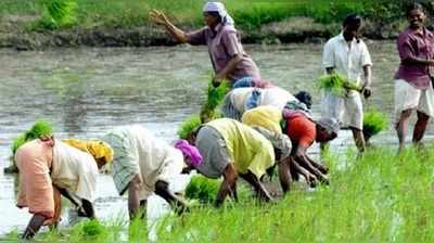 తెలంగాణ బడ్జెట్: వ్యవసాయ రంగానికి పెద్దపీట