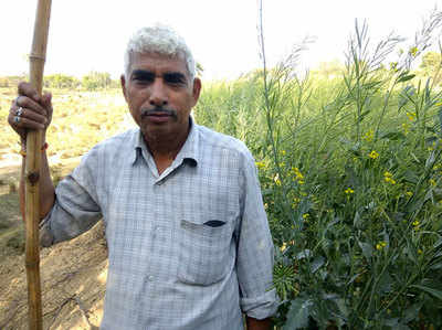 34 साल से बंजर पड़ी जमीन पर दिल्ली से लौटे किसान ने उगाया सोना