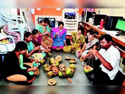 ಚಿಪ್ಪುಗಳಿಂದ ಹೆಚ್ಚಿದ ಹಕ್ಕಿಗಳ ಚಿಲಿಪಿಲಿ