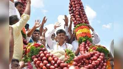 ಸಚಿವ ಡಿಕೆಶಿಗೆ 300 ಕಿಲೋ ತೂಕದ ಸೇಬಿನ ಹಾರ!