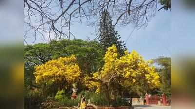 ಖುಷಿ ಪಡಲು ವಸಂತದ ನೆಪ